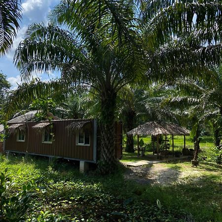 Forest Guesthouse Ban Don Muang  Екстер'єр фото
