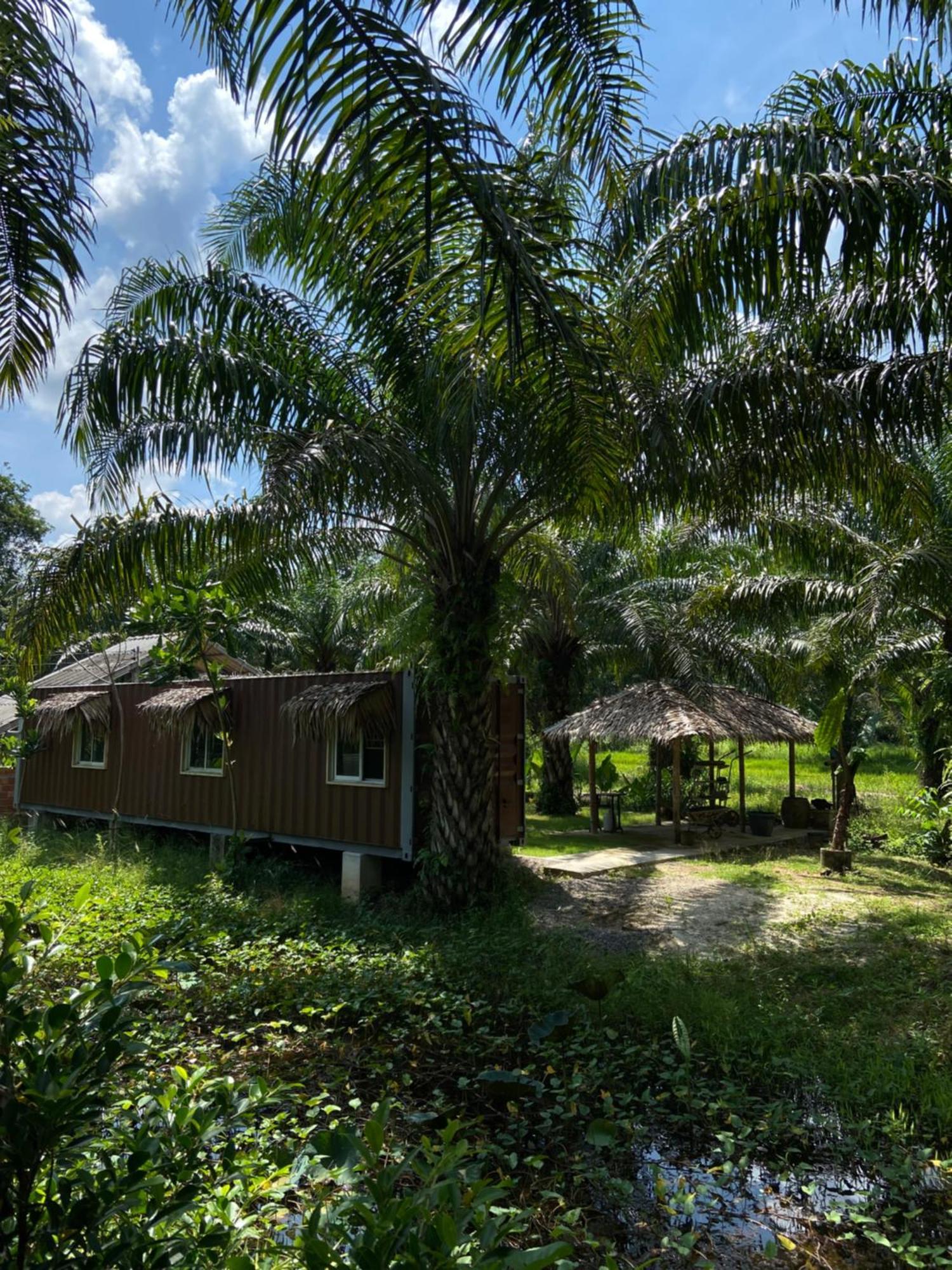 Forest Guesthouse Ban Don Muang  Екстер'єр фото